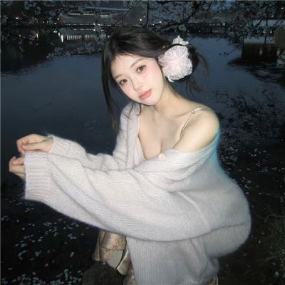 双生警贼